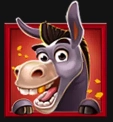 friendly donkey